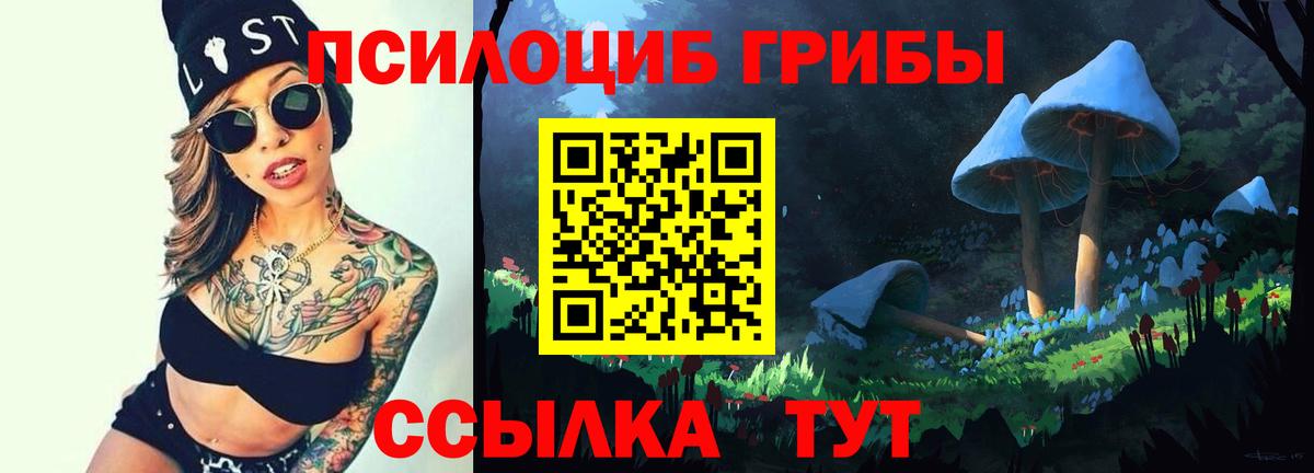 Галлюциногенные грибы мицелий  Вход с VPN  Галлюциногенные грибы Magic Shrooms  где найти наркотики  Новокуйбышевск 